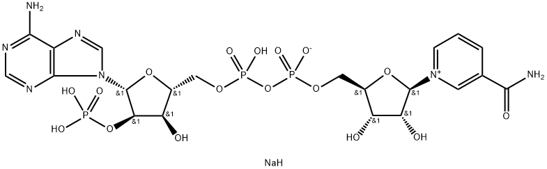 MUỐI Natri BETA-NICOTINAMIDE ADENINE DINUCLEOTIDE PHOSPHATE