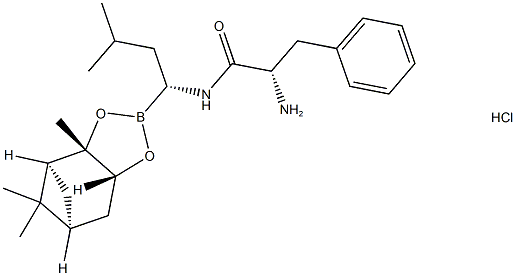Bortezomib trung gian II