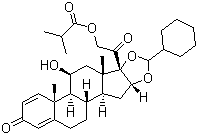ciclesonit