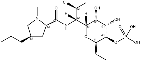 Clindamycin photphat