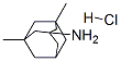 Memantine HC