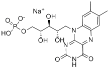 Muối natri Riboflavin 5'-Monophosphate